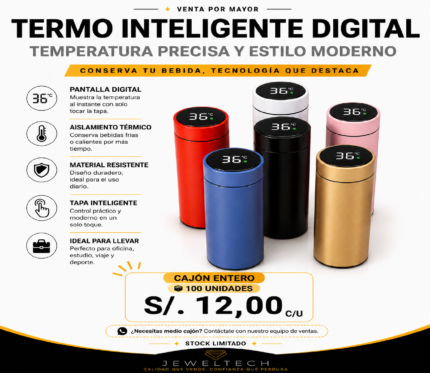 TERMO INTELIGENTE DIGITAL1